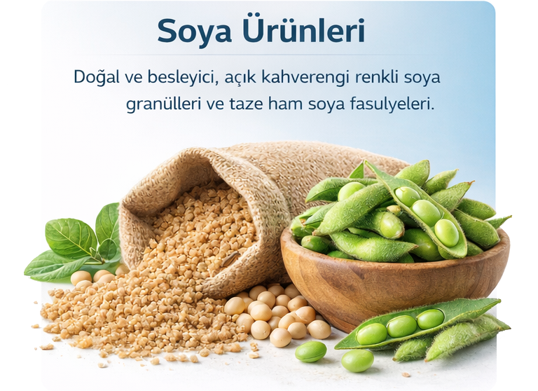 Soya Ürünleri